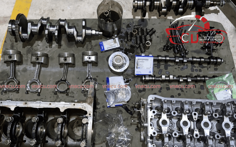 Kiểm Tra và Phục Hồi Trục Khuỷu, Bạc Đạn Kiểm Tra và Phục Hồi Trục Khuỷu, Bạc Đạn